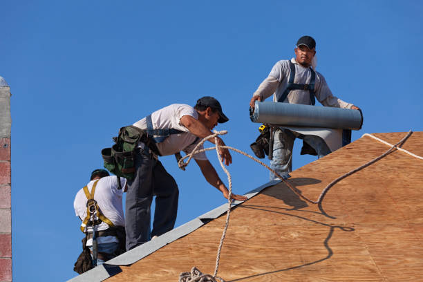 Roof Repair Estimates in Lavon, TX